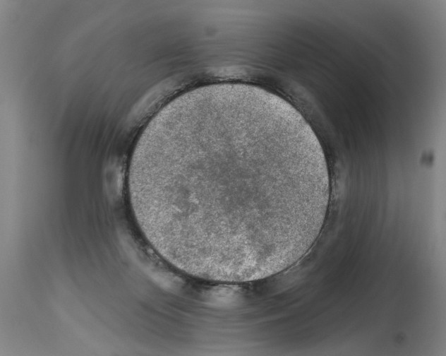 X0000113960124200911061334
