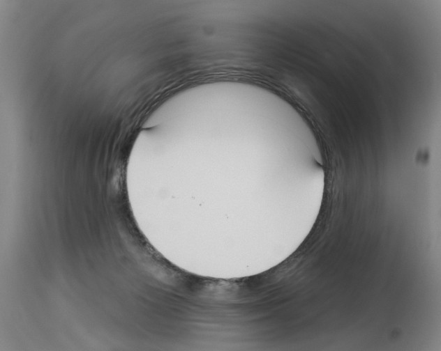 X0000113960125200911061334