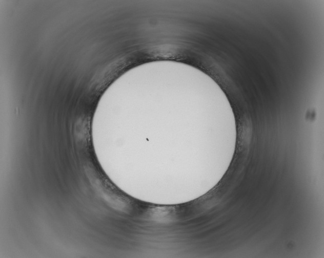X0000113960126200911061334