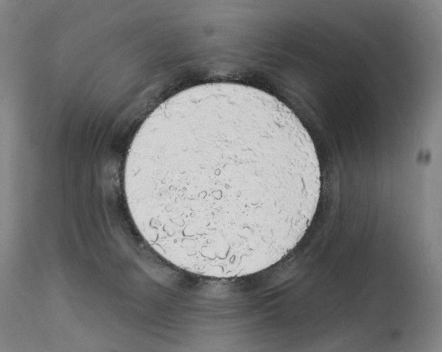 X0000113960127200911061334