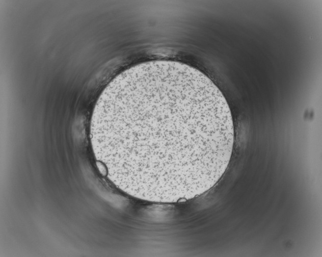 X0000113960128200911061334