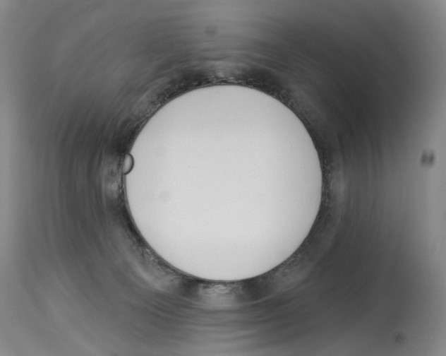X0000113960129200911061334