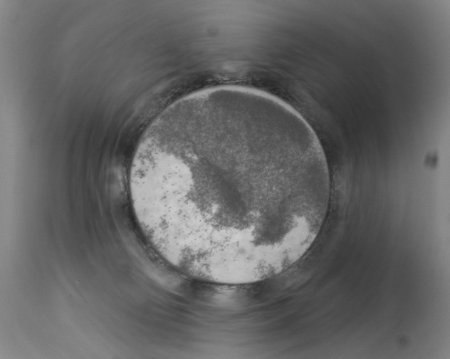 X0000113960130200911061334