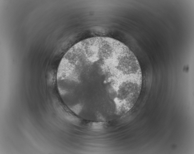 X0000113960134200911061334