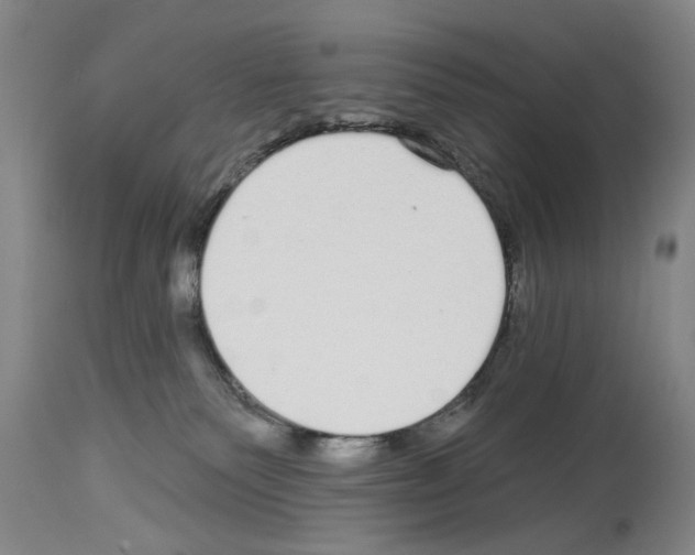 X0000113960135200911061334