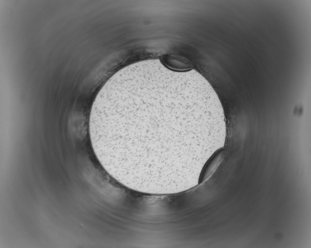 X0000113960136200911061334