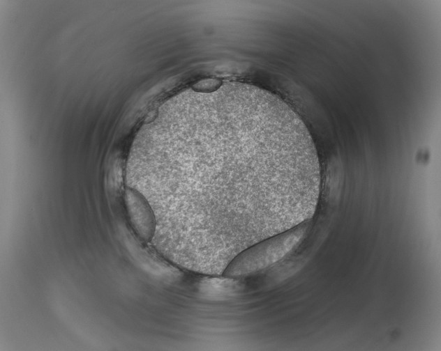 X0000113960137200911061334
