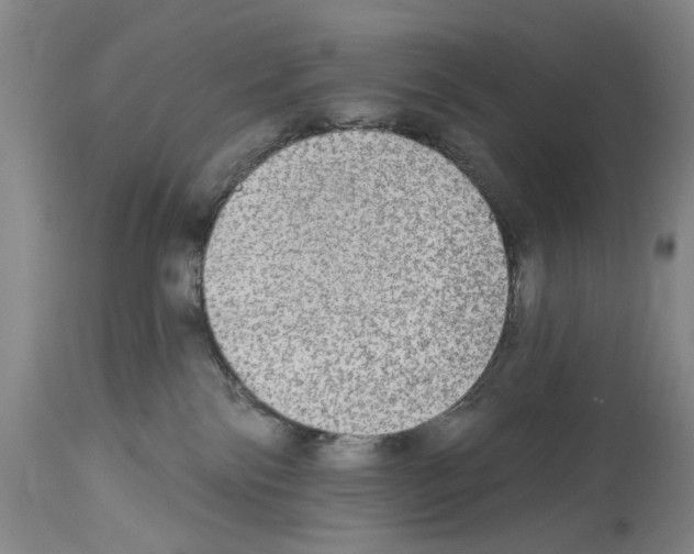 X0000113960138200911061334