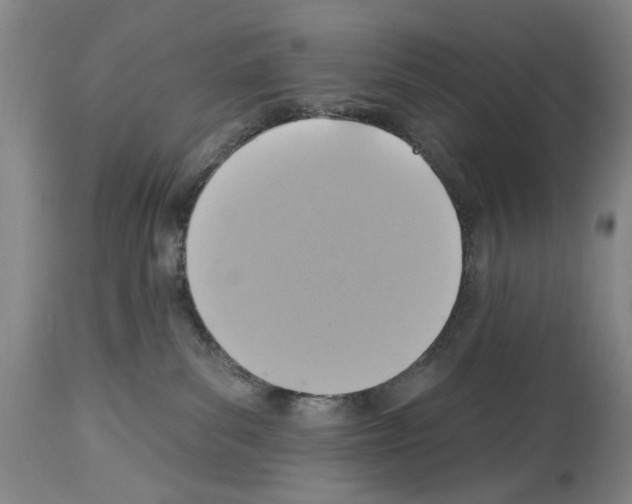X0000113960139200911061334