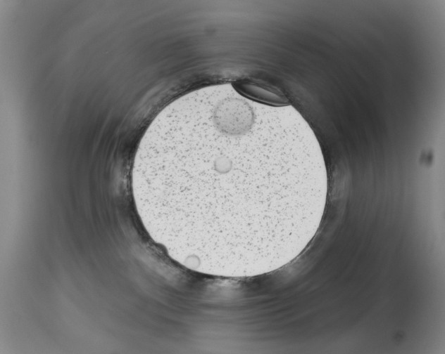 X0000113960140200911061334