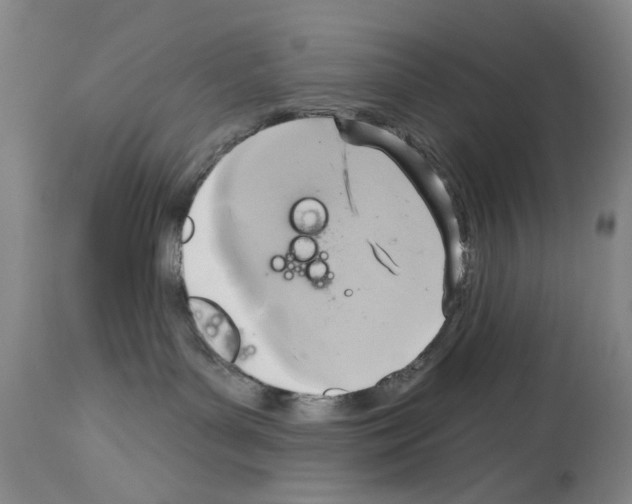 X0000113960143200911061334