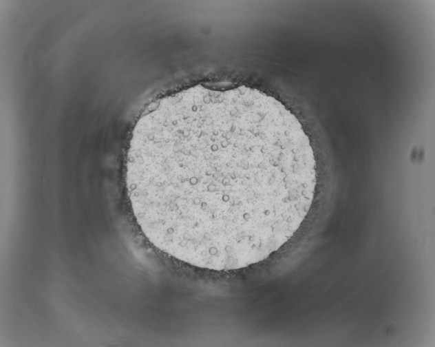 X0000113960144200911061334