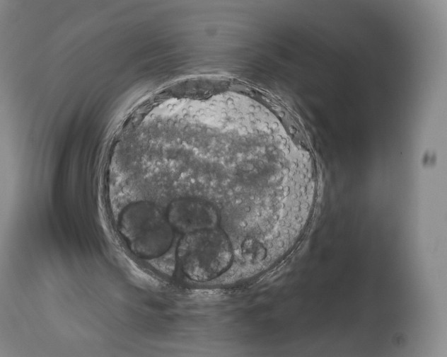 X0000113960145200911061333