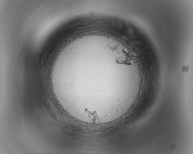 X0000113960146200911061333