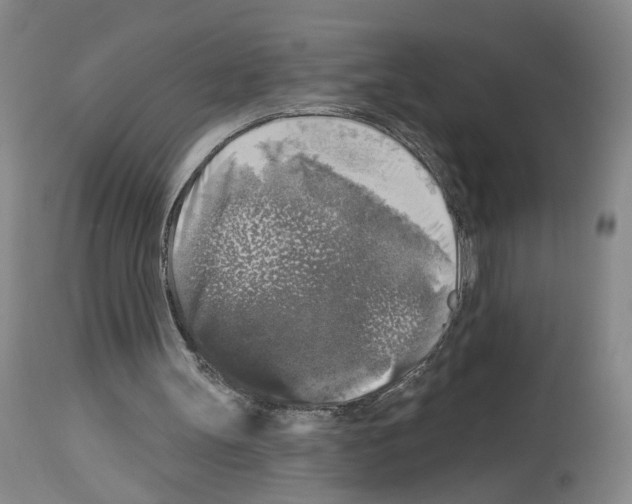 X0000113960147200911061333