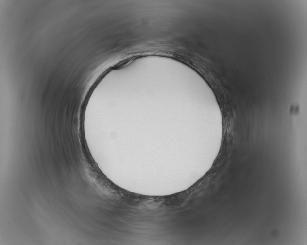 X0000113960148200911061333