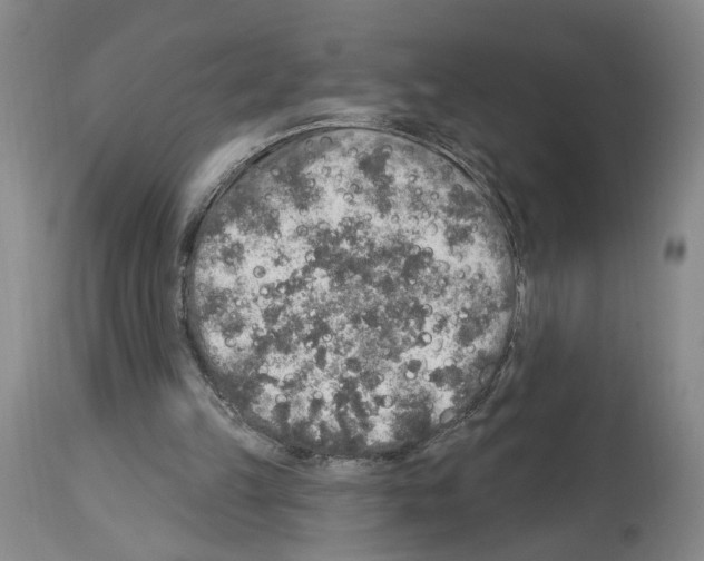 X0000113960149200911061333
