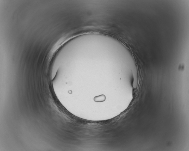 X0000113960150200911061333