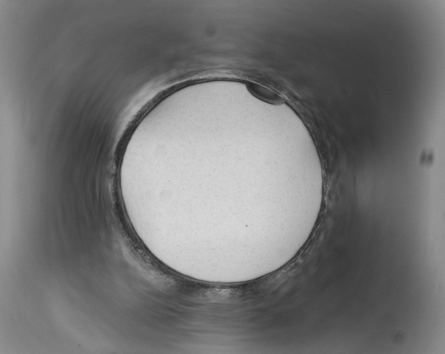 X0000113960152200911061333