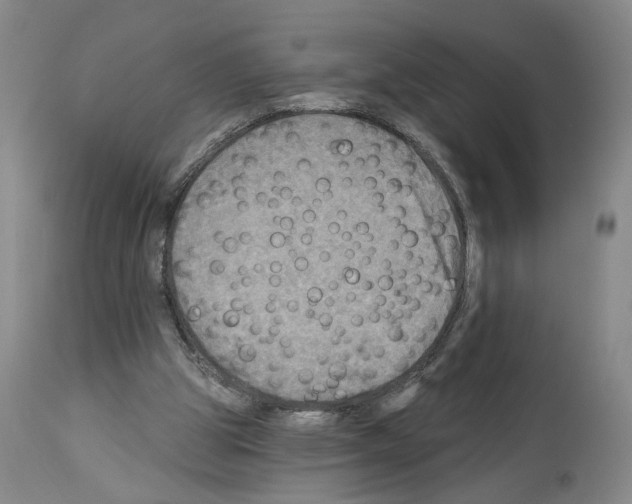 X0000113960153200911061333