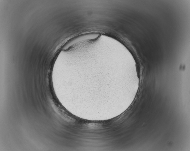 X0000113960154200911061333