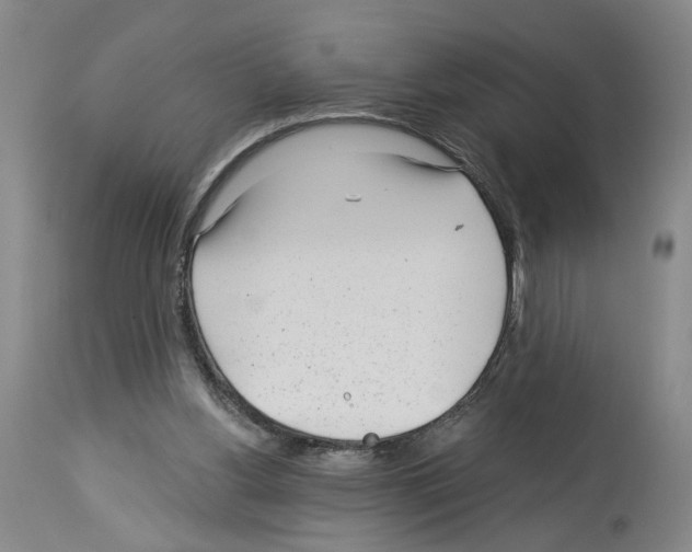 X0000113960156200911061333