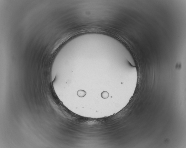 X0000113960158200911061333