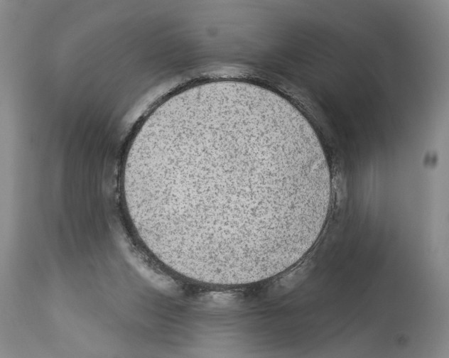 X0000113960159200911061333