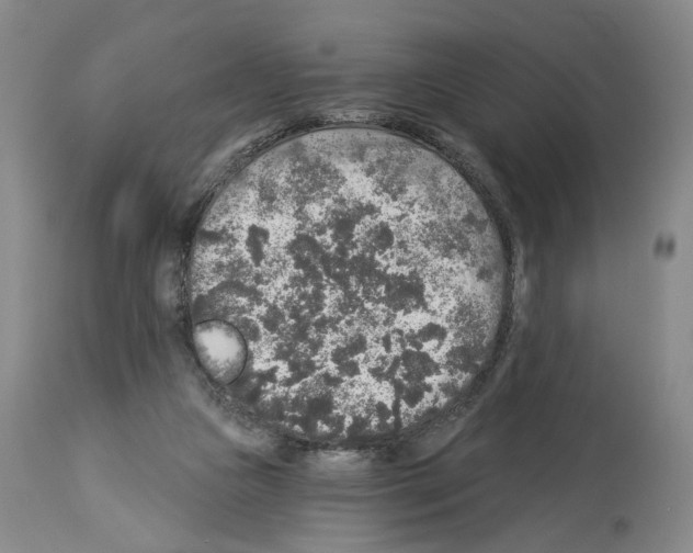 X0000113960161200911061333