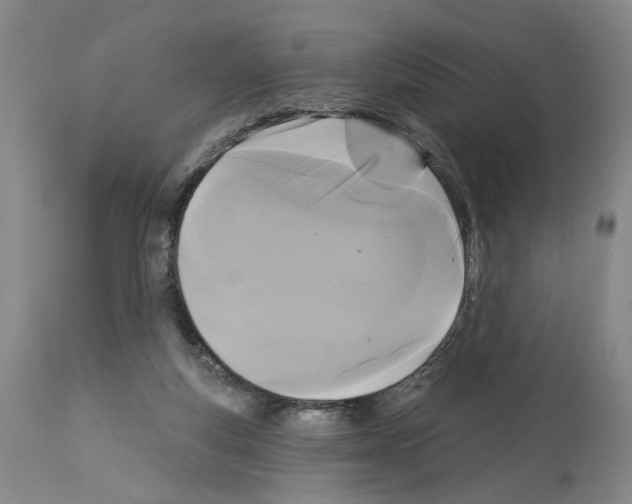 X0000113960163200911061333