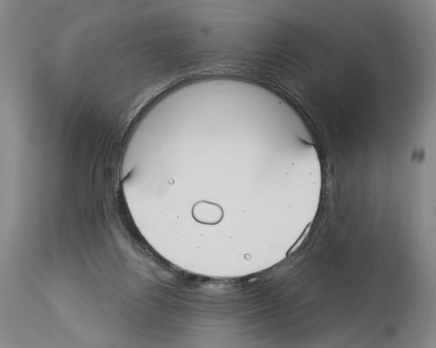 X0000113960164200911061333