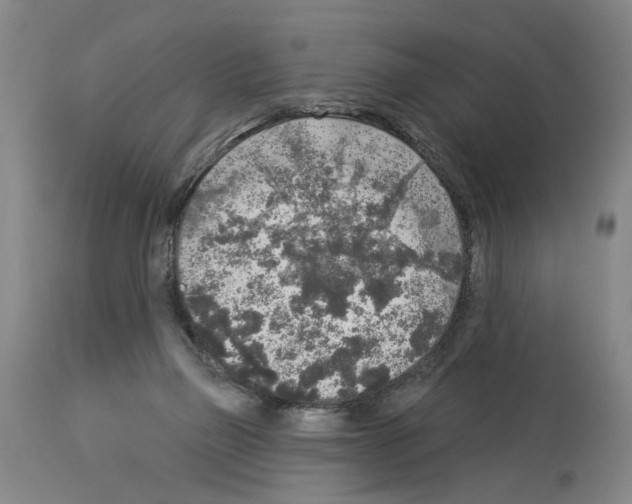 X0000113960165200911061333