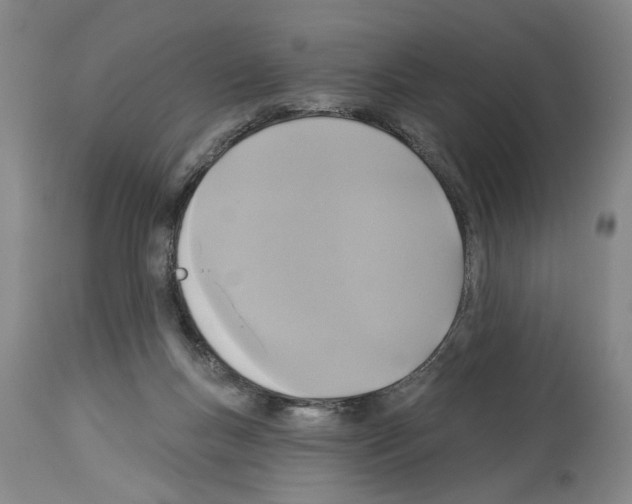 X0000113960167200911061333