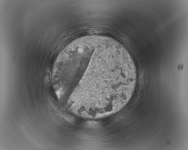 X0000113960169200911061333