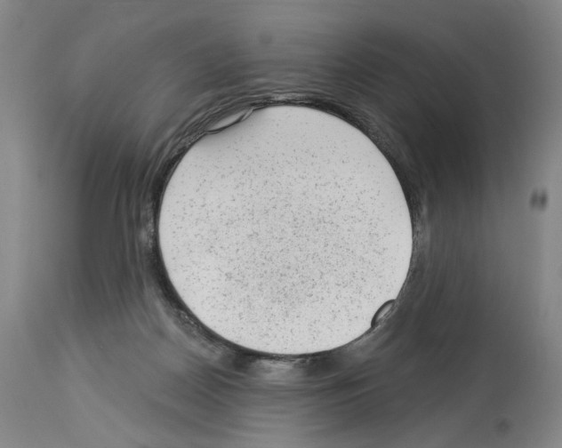 X0000113960170200911061333