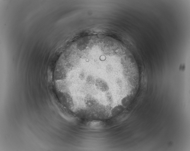 X0000113960173200911061333