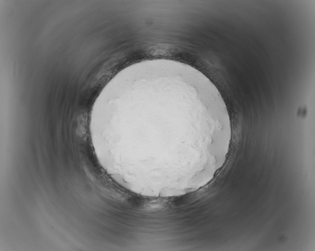 X0000113960175200911061333