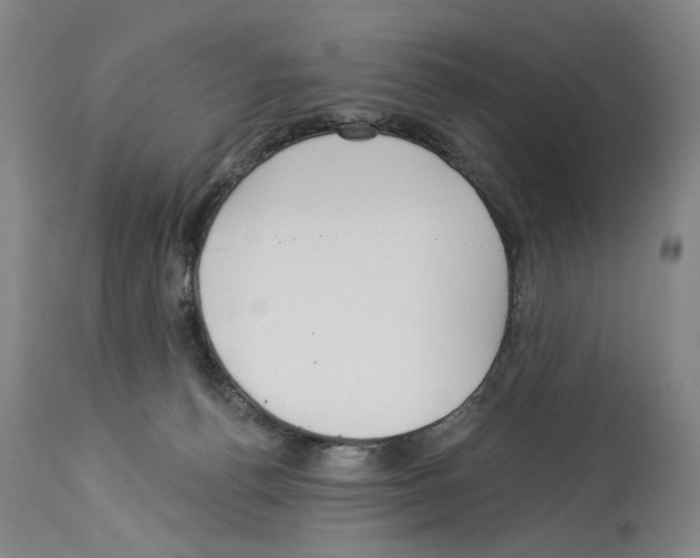 X0000113960176200911061333