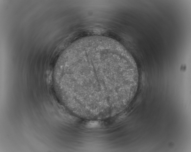 X0000113960177200911061333
