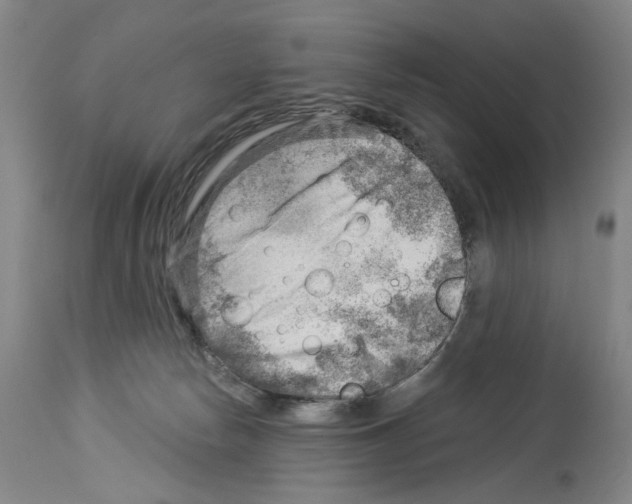 X0000113960178200911061333