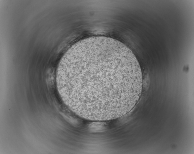 X0000113960179200911061333