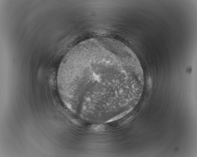 X0000113960181200911061333