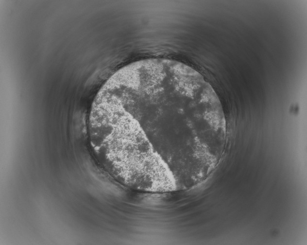 X0000113960182200911061333