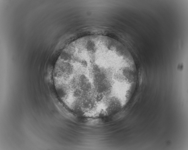 X0000113960185200911061333