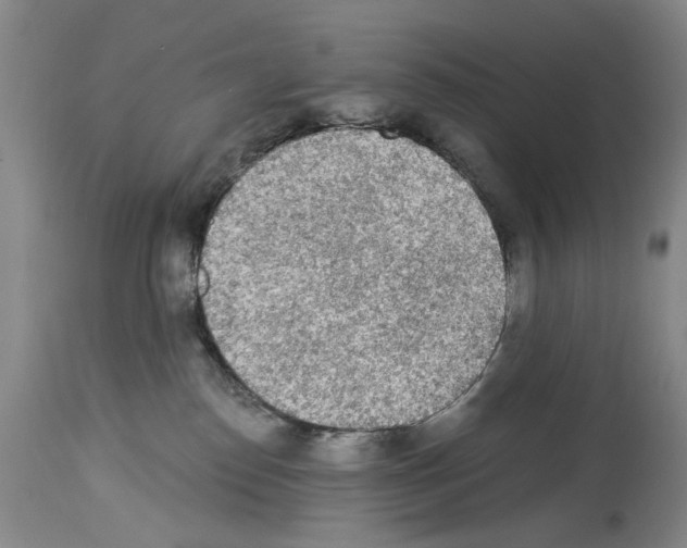 X0000113960186200911061333