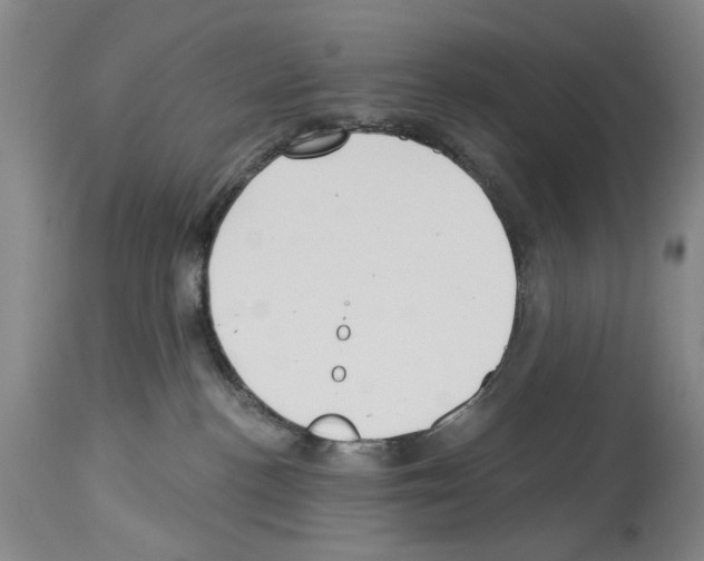 X0000113960188200911061333