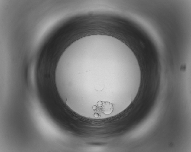 X0000113960189200911061333