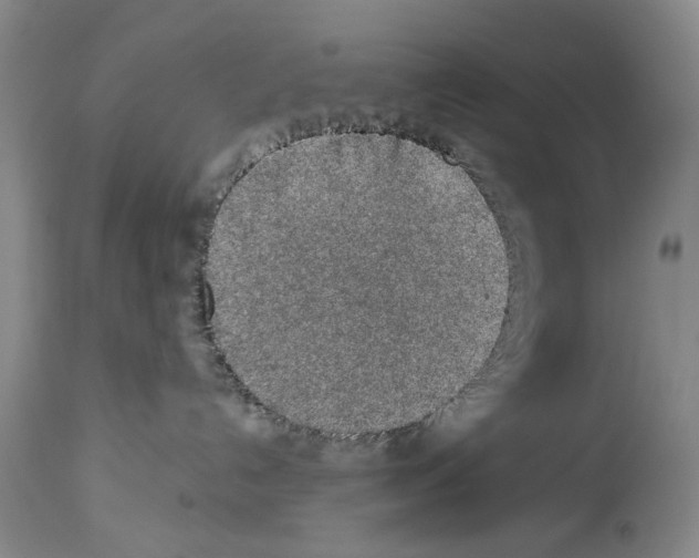 X0000113960192200911061334
