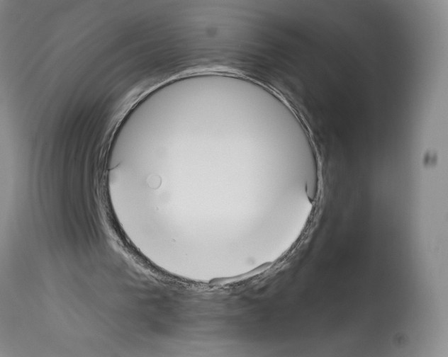 X0000113960193200911061333
