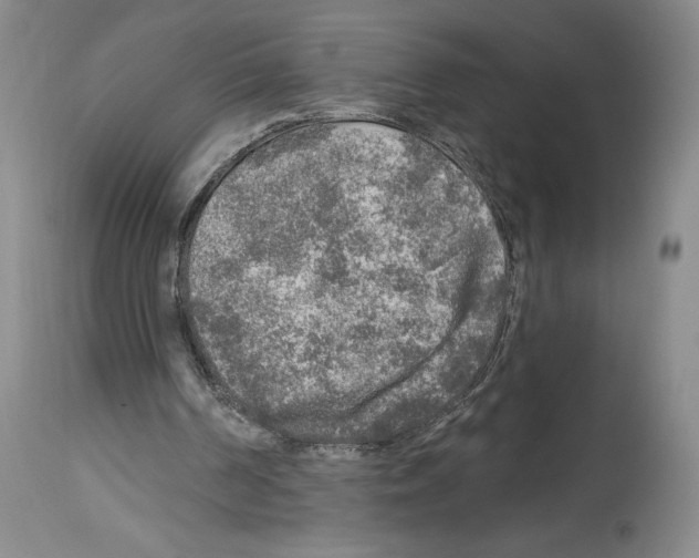 X0000113960194200911061333